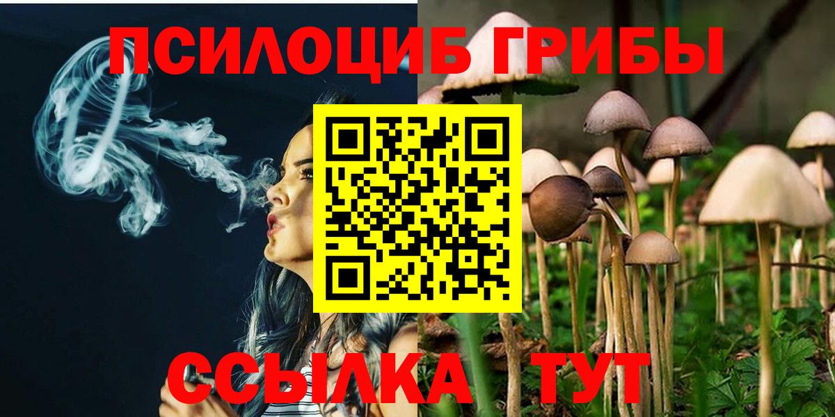 Галлюциногенные грибы прущие грибы Лениногорск