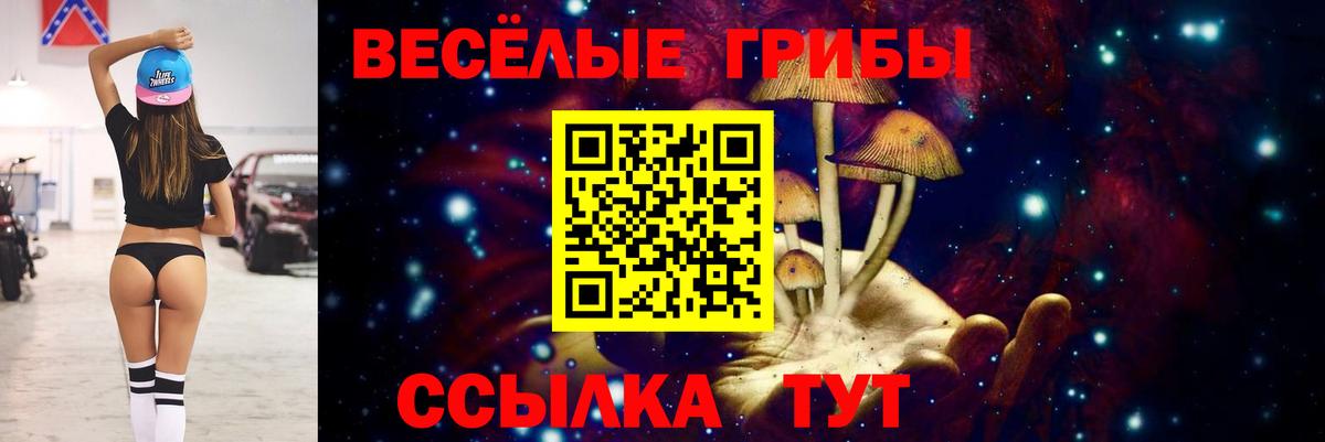 Галлюциногенные грибы Psilocybine cubensis  Вход с VPN  Галлюциногенные грибы Magic Shrooms  Лениногорск 